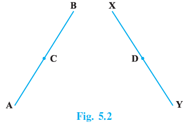 Page 49 Chapter 5 Class 9th NCERT Exemplar